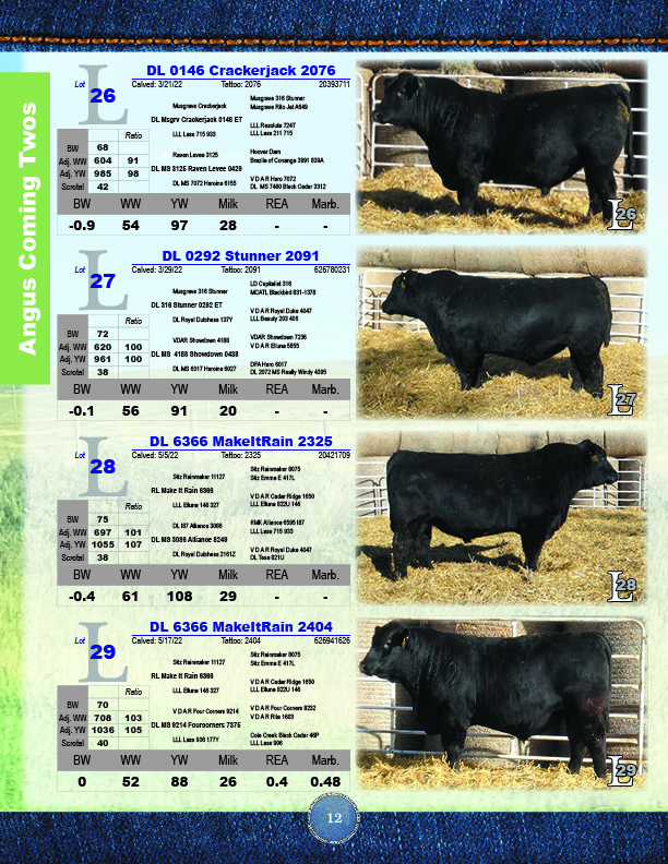 Bull Sale Catalog 2024   WebCatalog202414 1 