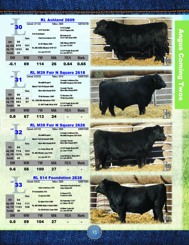 Bull Sale Catalog 2024   WebCatalog202415 1 